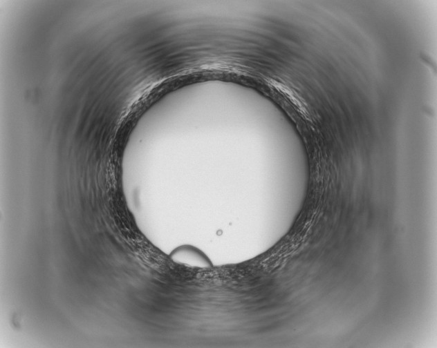 X0000098110776200804181450