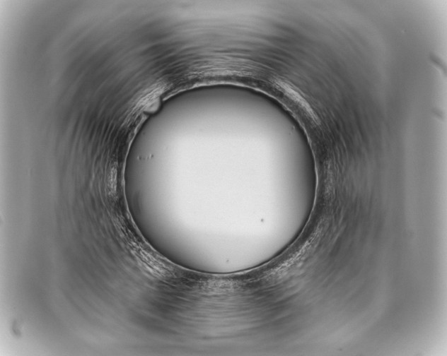 X0000098110777200804181450