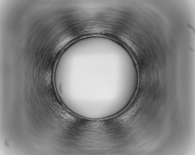 X0000098110778200804181450