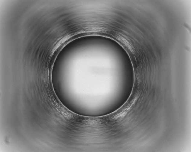 X0000098110781200804181450