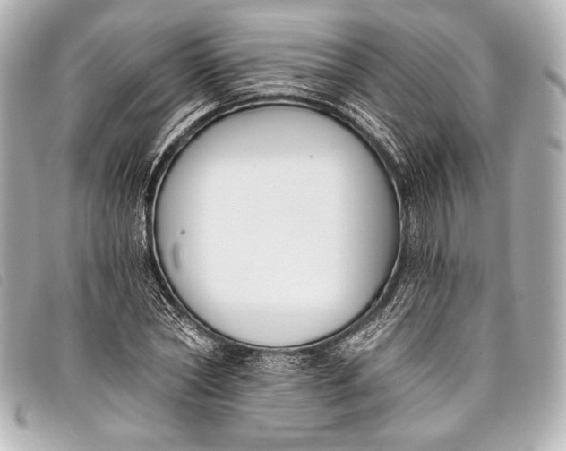 X0000098110782200804181450