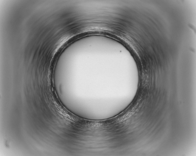 X0000098110783200804181450