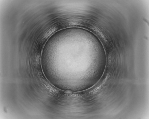 X0000098110785200804181450