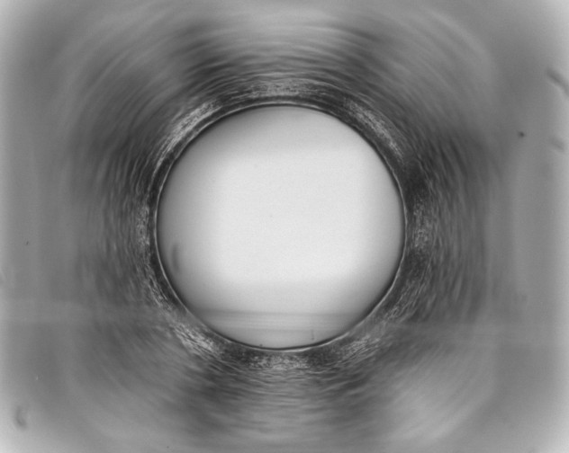 X0000098110786200804181450
