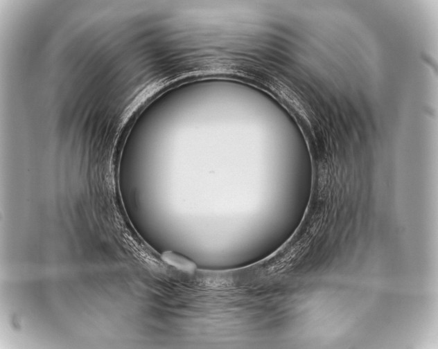 X0000098110789200804181450