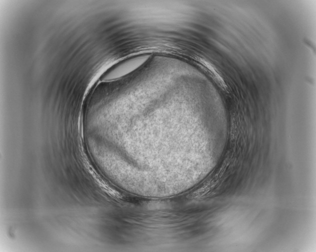 X0000098110796200804181450
