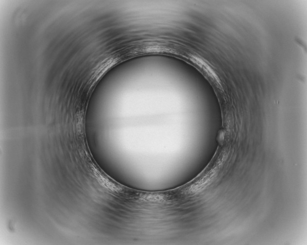 X0000098110801200804181450