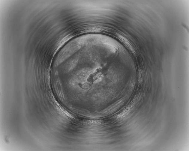 X0000098110802200804181450