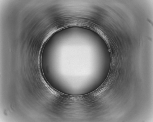X0000098110803200804181450
