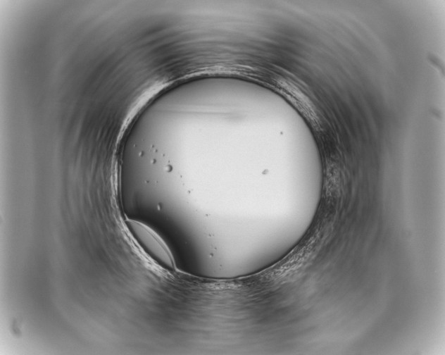 X0000098110804200804181450
