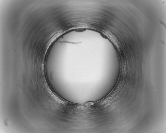 X0000098110805200804181450