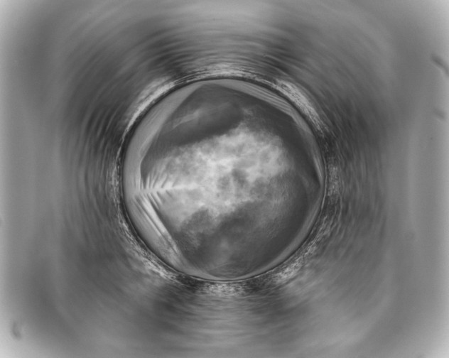 X0000098110806200804181450