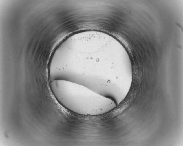 X0000098110807200804181450