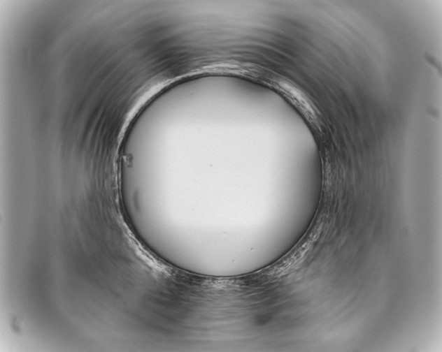 X0000098110808200804181450