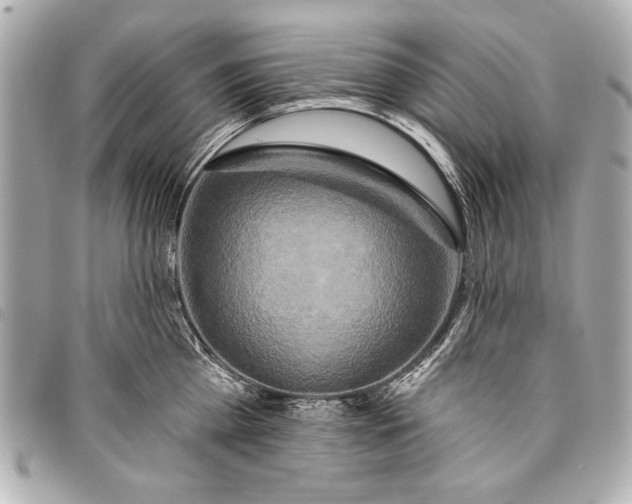X0000098110809200804181450