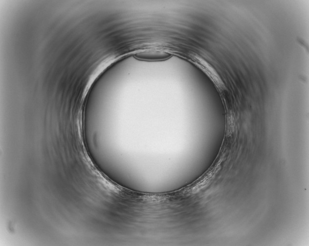 X0000098110812200804181450