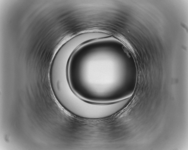 X0000098110813200804181450