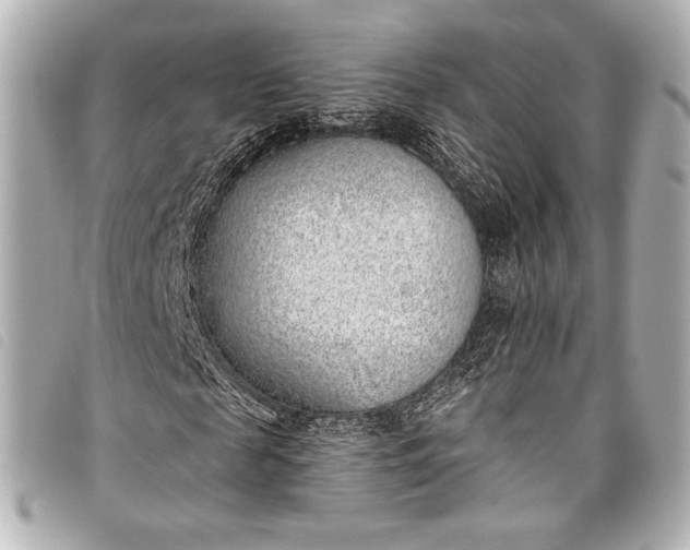 X0000098110817200804181449