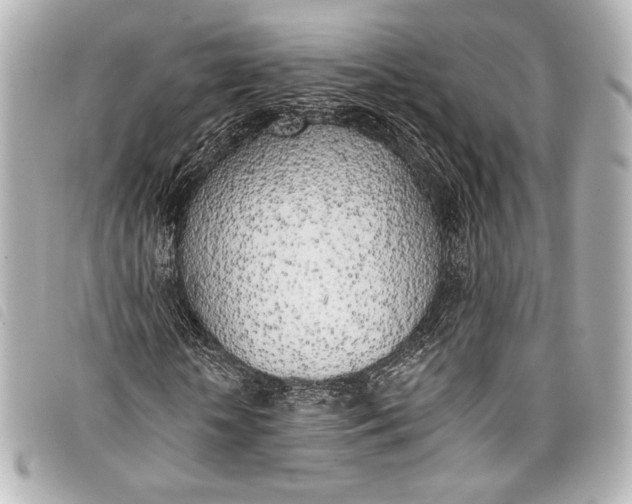 X0000098110818200804181449