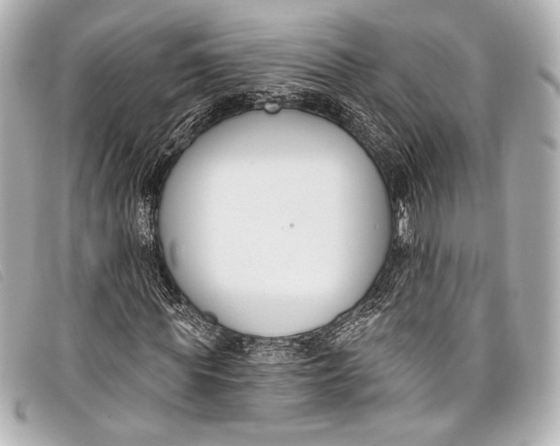 X0000098110819200804181449