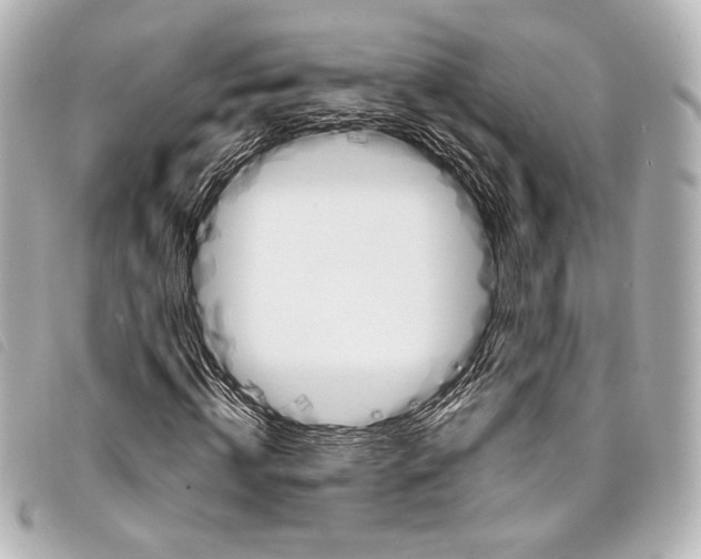 X0000098110820200804181449