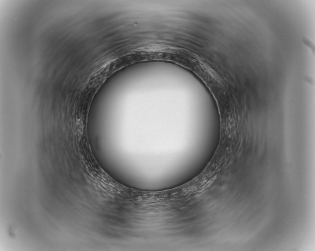 X0000098110821200804181449