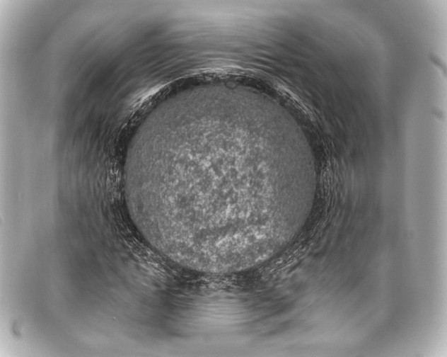 X0000098110822200804181449