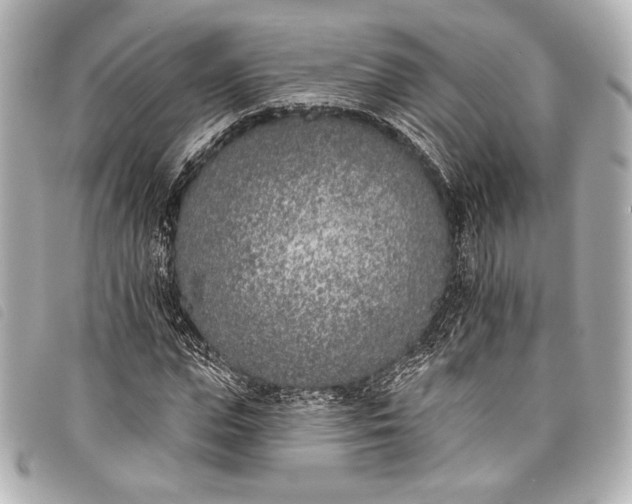 X0000098110823200804181449