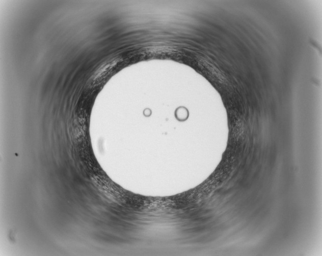 X0000098110824200804181449