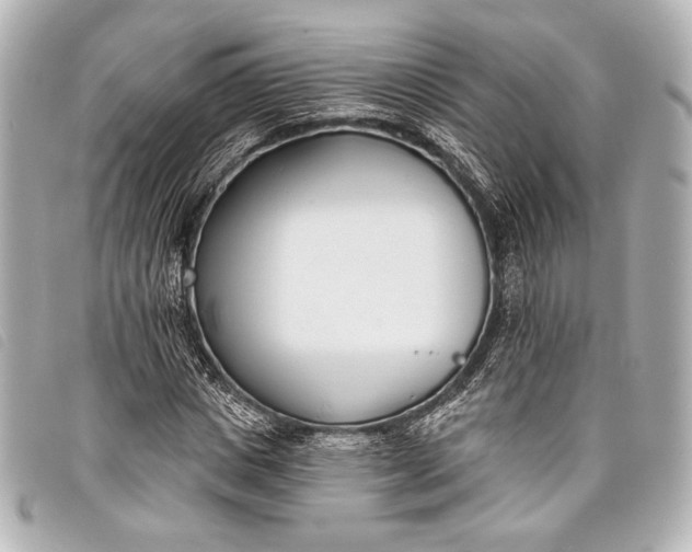 X0000098110825200804181449