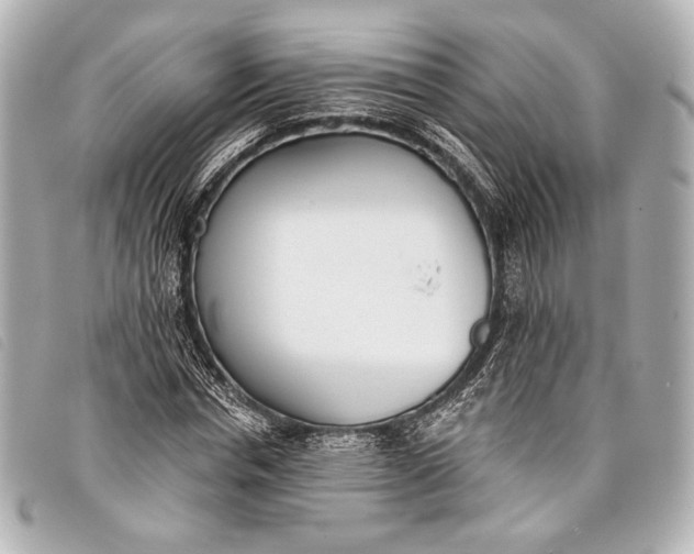 X0000098110826200804181449
