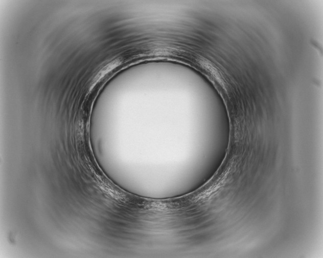 X0000098110827200804181449