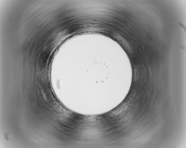 X0000098110828200804181449