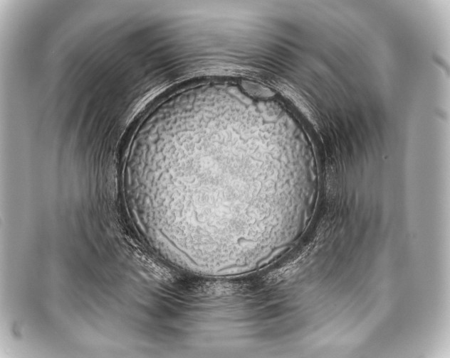 X0000098110829200804181449