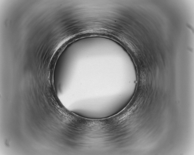 X0000098110830200804181449