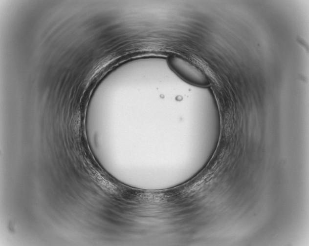X0000098110831200804181449
