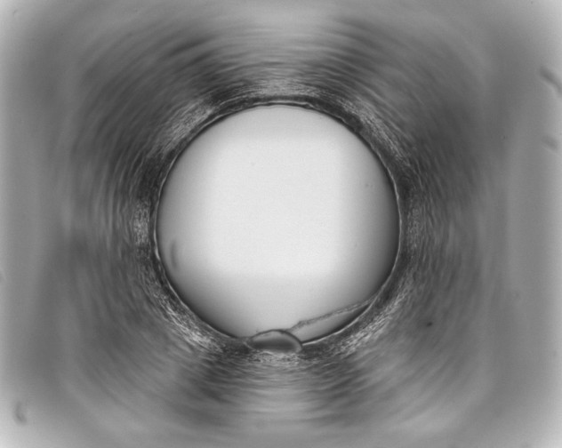 X0000098110833200804181449