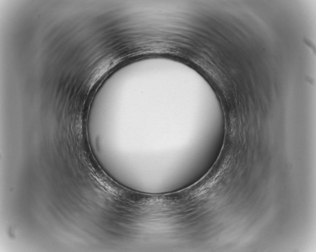X0000098110834200804181449