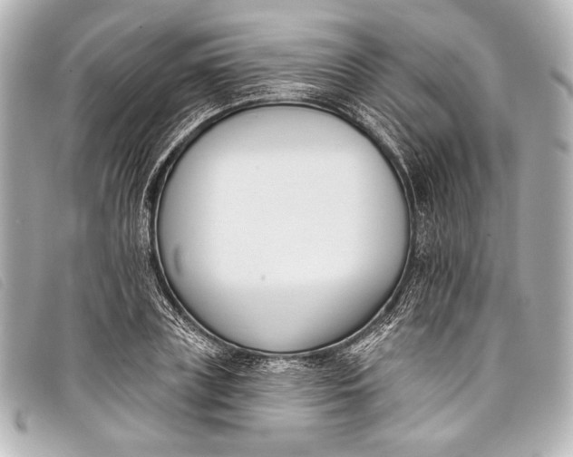 X0000098110835200804181449