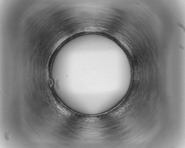 X0000098110837200804181449
