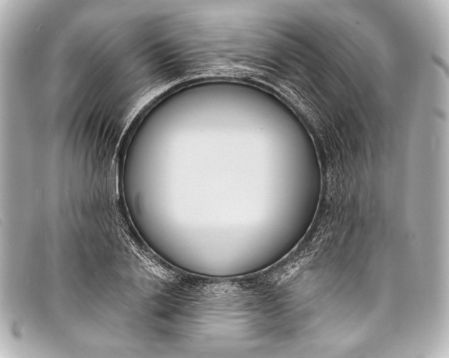 X0000098110838200804181449