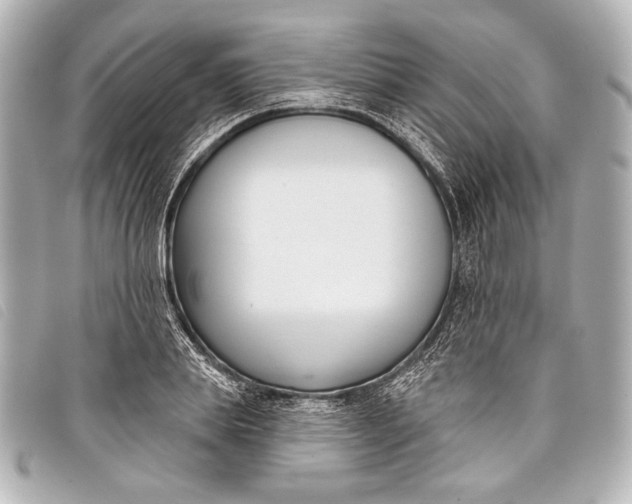 X0000098110839200804181449