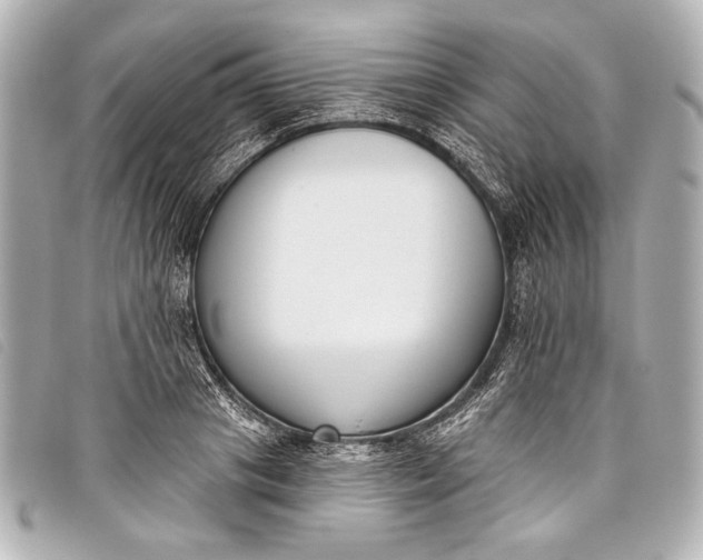 X0000098110841200804181449