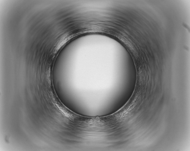 X0000098110842200804181449