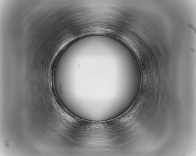 X0000098110843200804181449