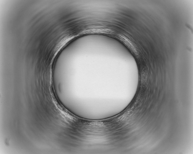X0000098110844200804181449