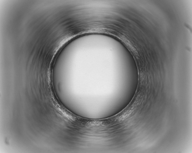 X0000098110846200804181449