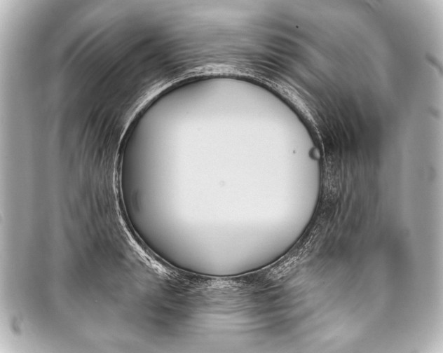X0000098110847200804181449