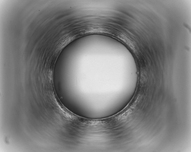 X0000098110849200804181449
