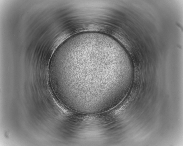 X0000098110850200804181449